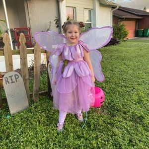 Pottery barn fairy costume